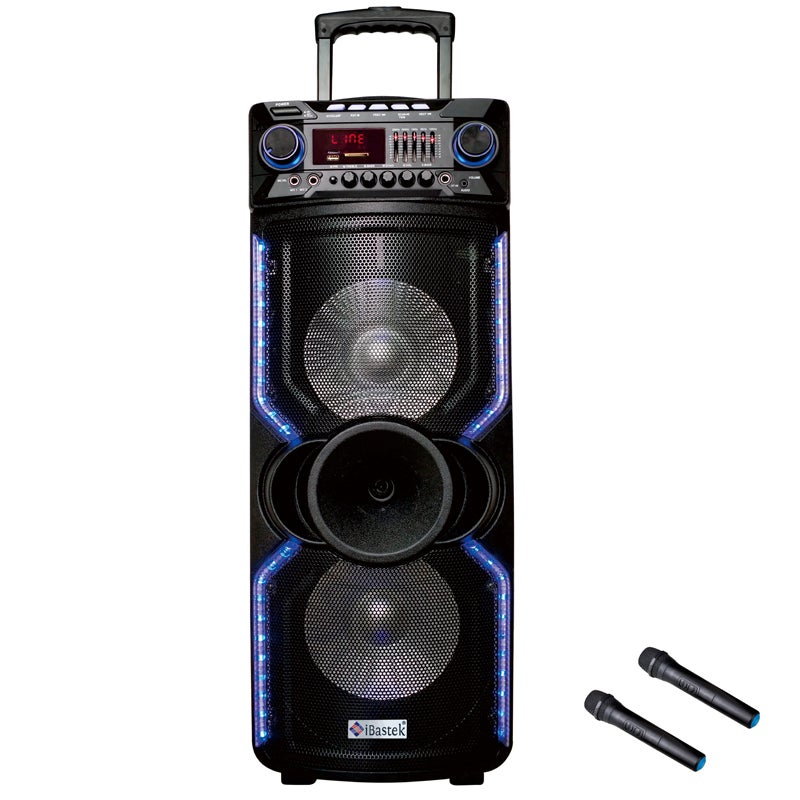 Ibastek microphone clearance